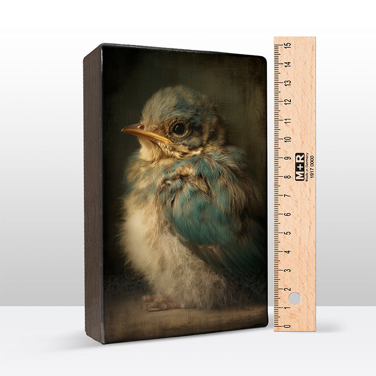 Artchoices exclusive: 232. Schattig baby vogeltje op een houten paneel(tje) klein