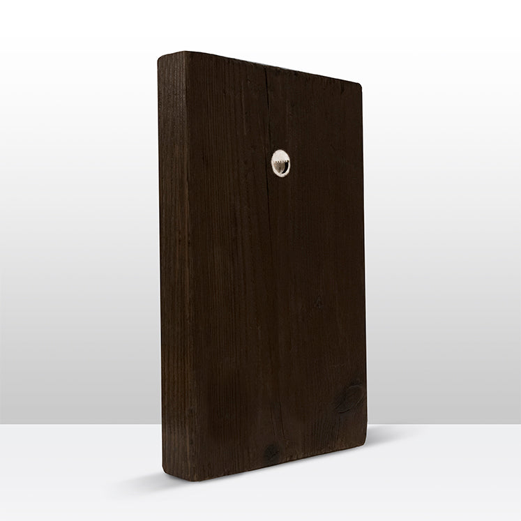 Artchoices exclusive: 233. Close-up baby ijsvogel op een houten paneel(tje) klein