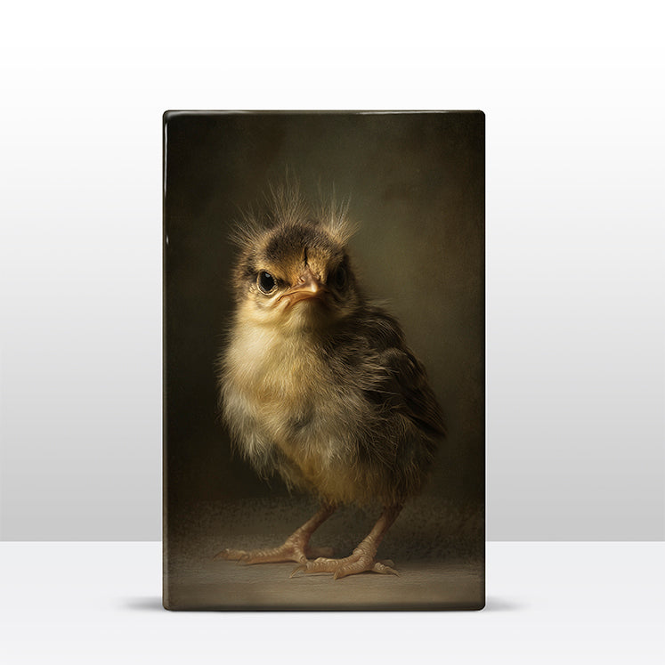 Artchoices exclusive: 235. Donzig baby vogeltje op een houten paneel(tje) groot