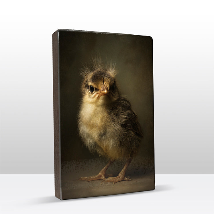 Artchoices exclusive: 235. Donzig baby vogeltje op een houten paneel(tje) groot