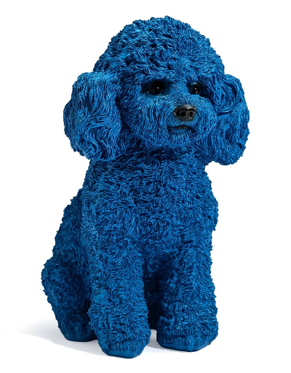 Blauwe poedel