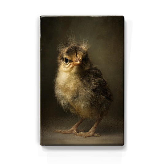 Artchoices exclusive: 235. Donzig baby vogeltje op een houten paneel(tje) groot