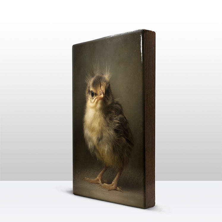Artchoices exclusive: 235. Donzig baby vogeltje op een houten paneel(tje) groot