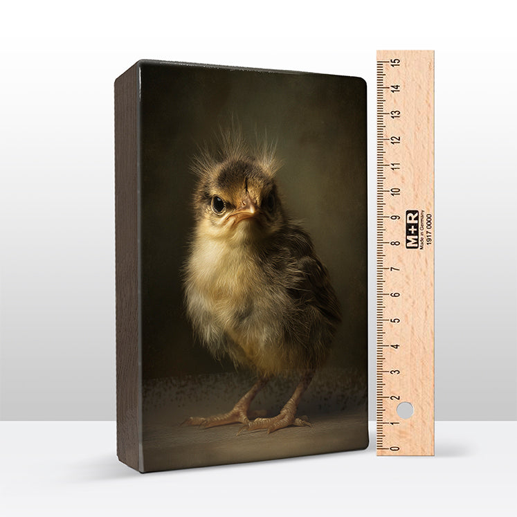 Artchoices exclusive: 235. Donzig baby vogeltje op een houten paneel(tje) groot