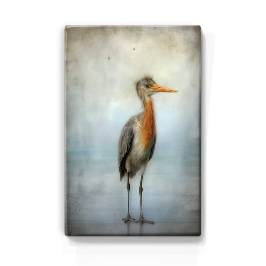 Artchoices exclusive: 006. Vogel op strand op houten paneel(tje) klein