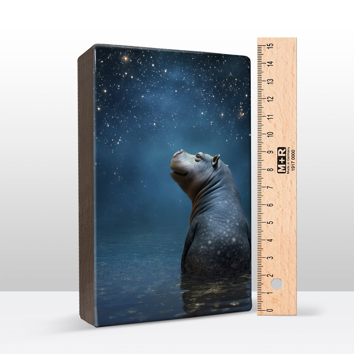 Artchoices exclusive: 042. Starry Night 2 op houten paneel(tje) groot