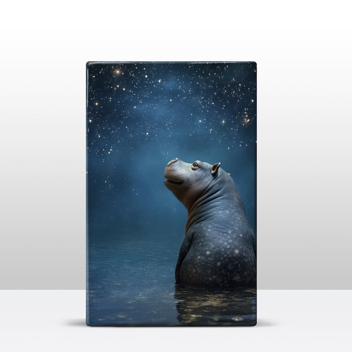 Artchoices exclusive: 042. Starry Night 2 op houten paneel(tje) groot