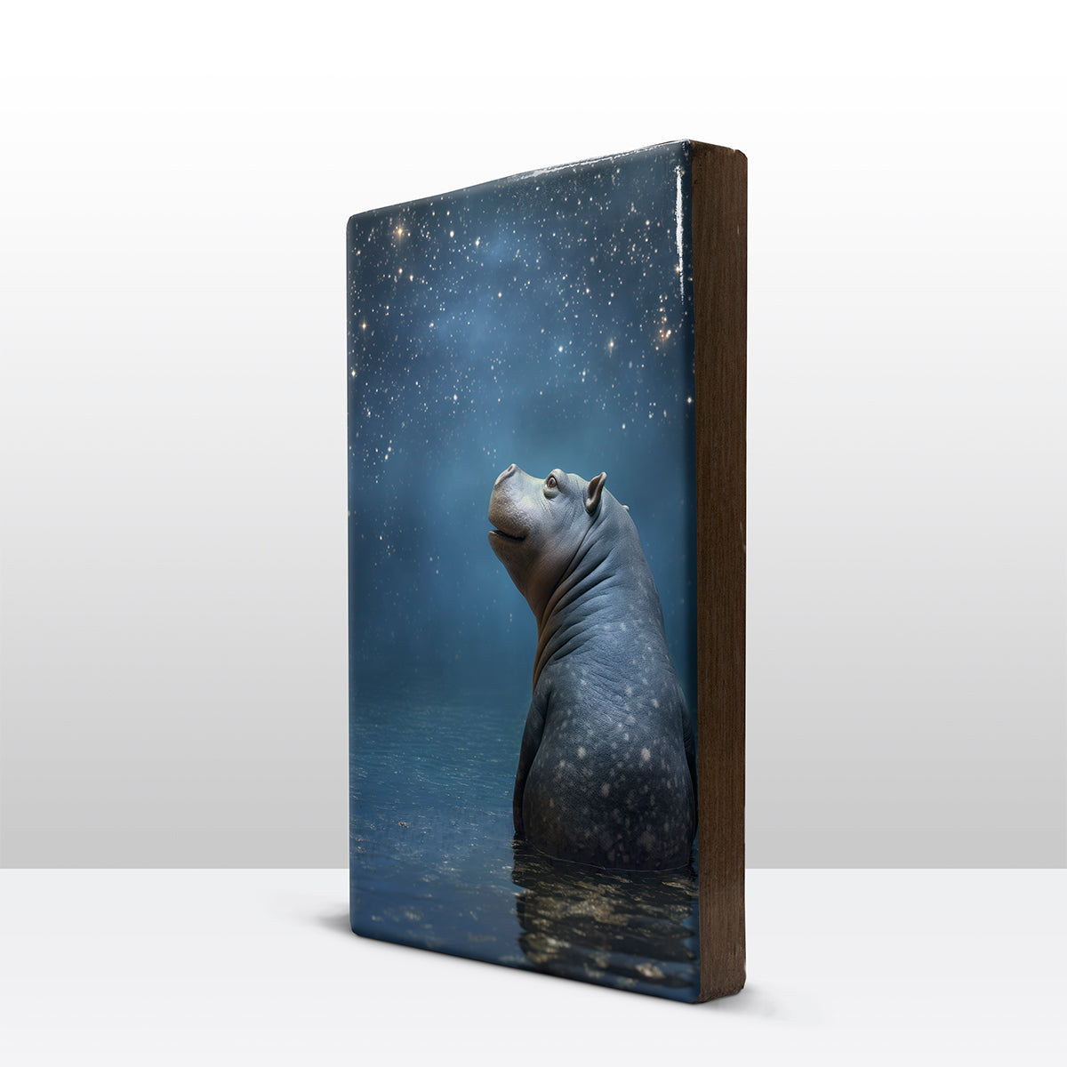 Artchoices exclusive: 042. Starry Night 2 op houten paneel(tje) groot