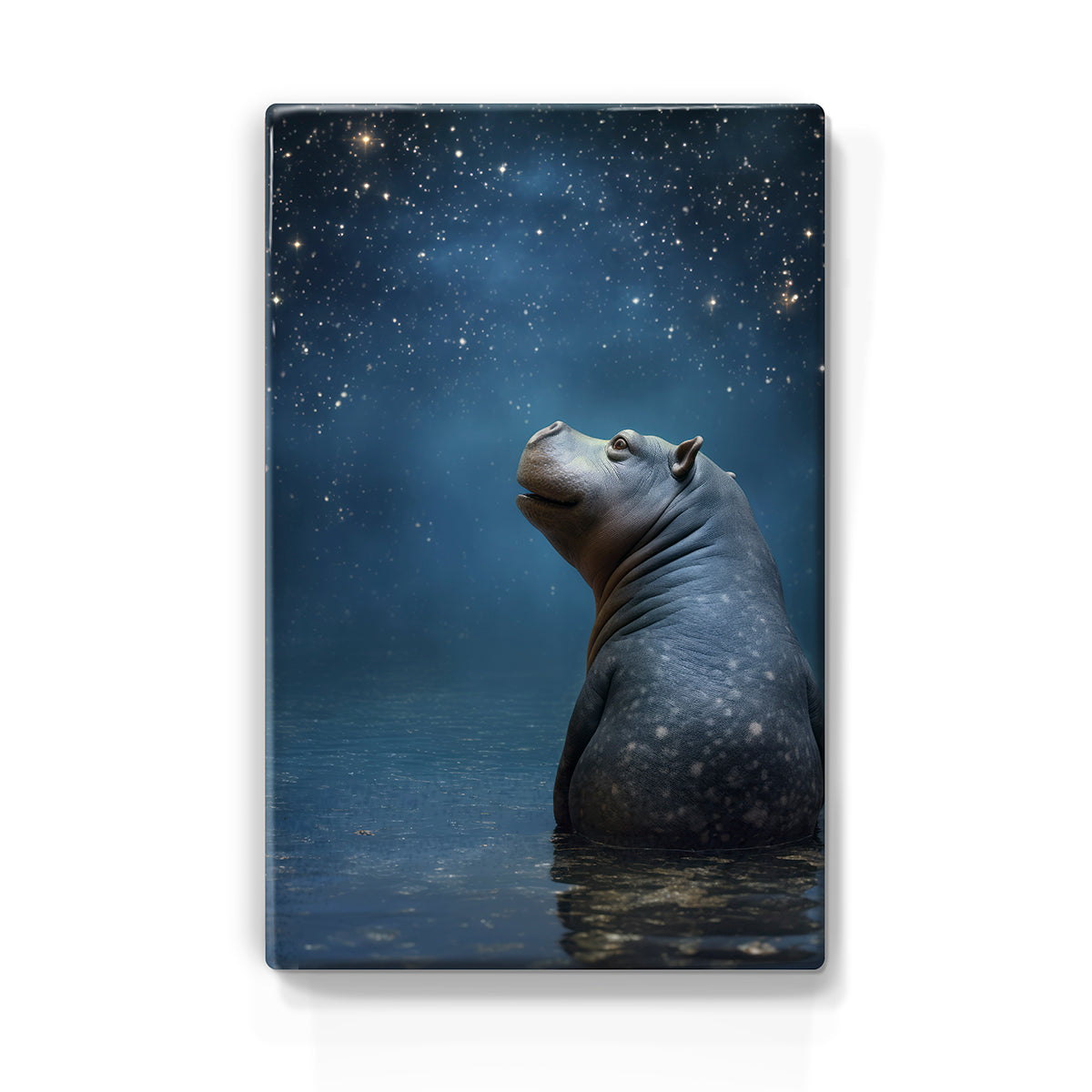 Artchoices exclusive: 042. Starry Night 2 op houten paneel(tje) groot