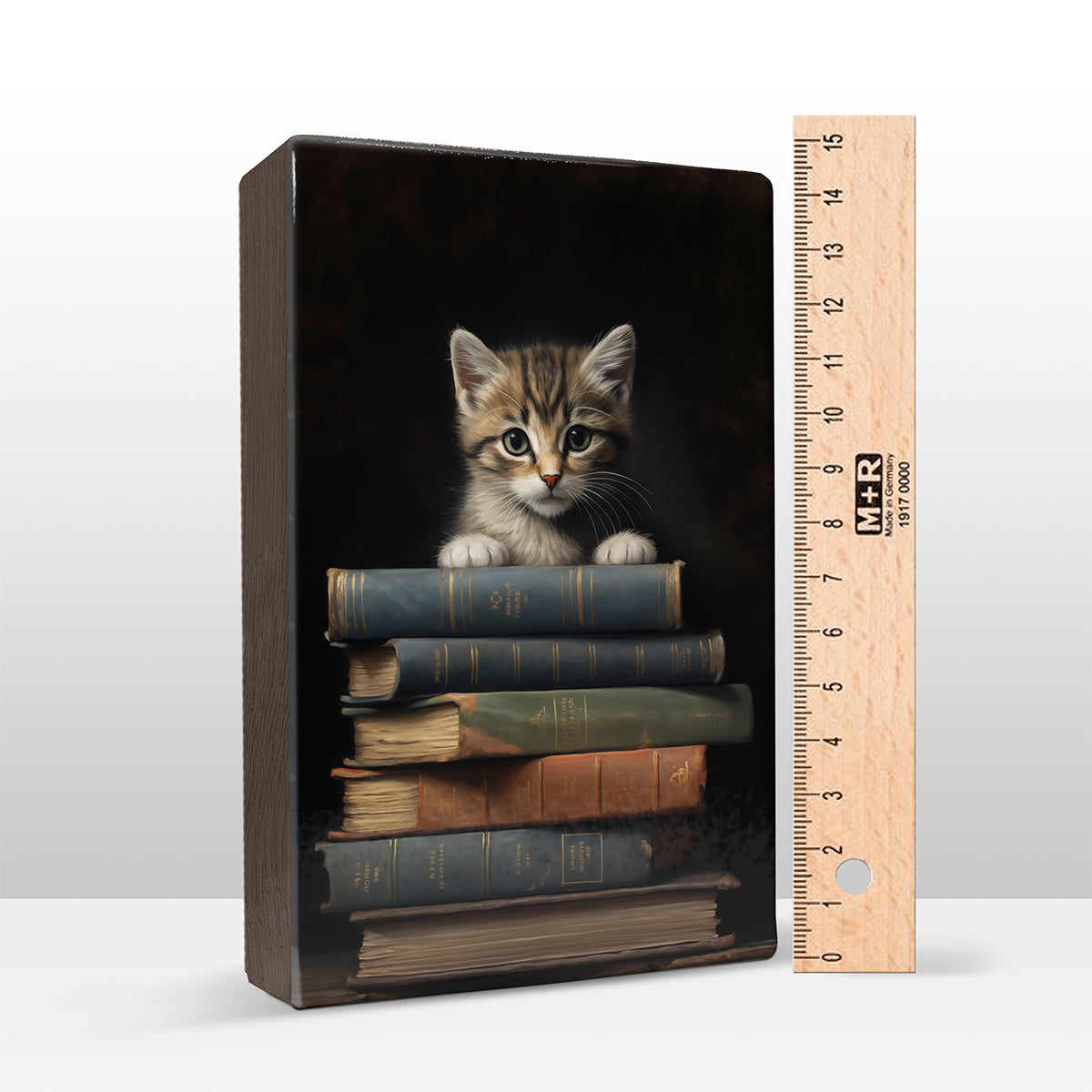 Artchoices exclusive: 048. Kitten met boeken op houten paneel(tje) groot