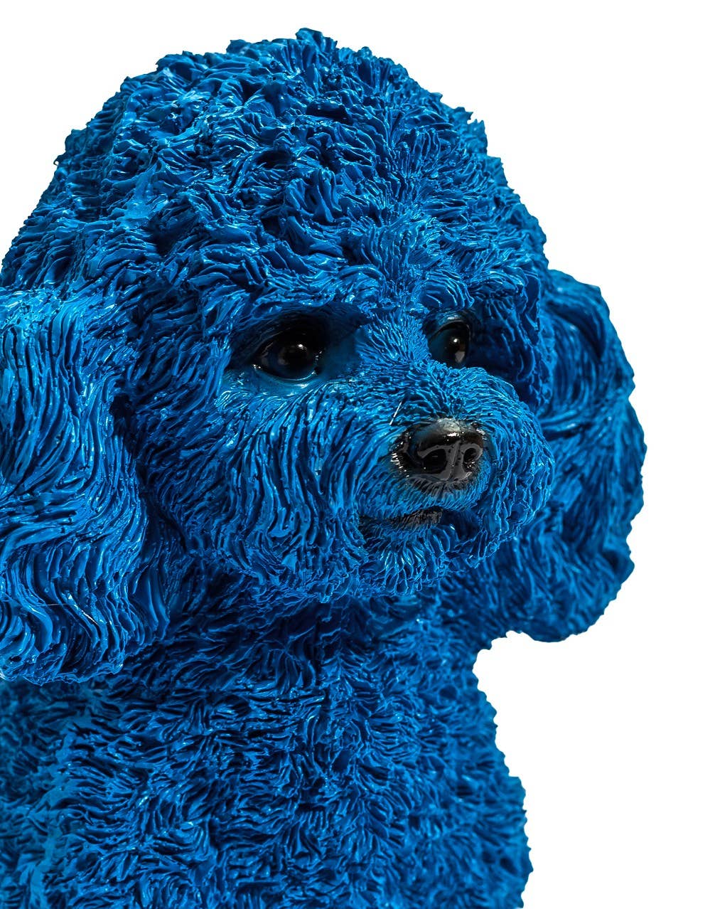 Blauwe poedel
